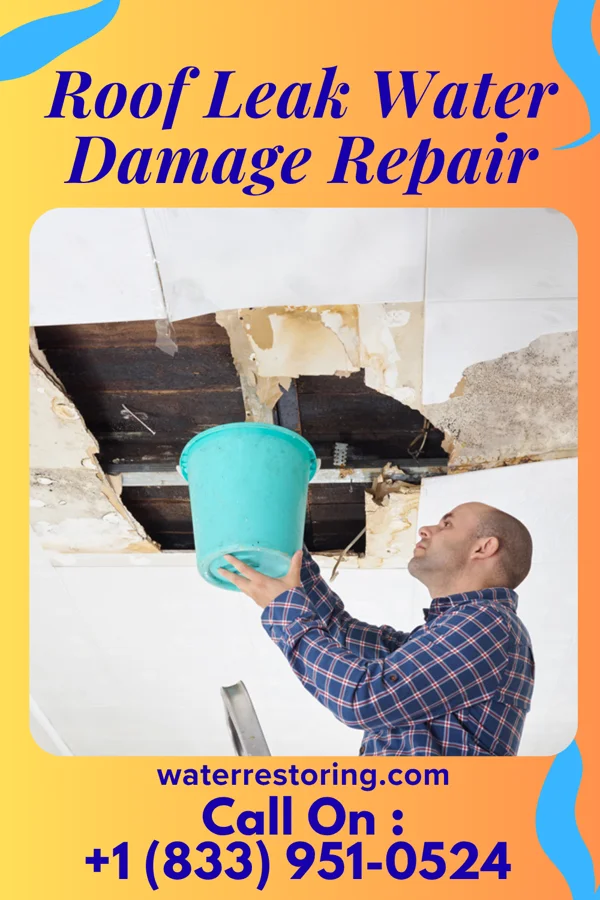 Roof Leak Water Damage Repair in Wellford, SC